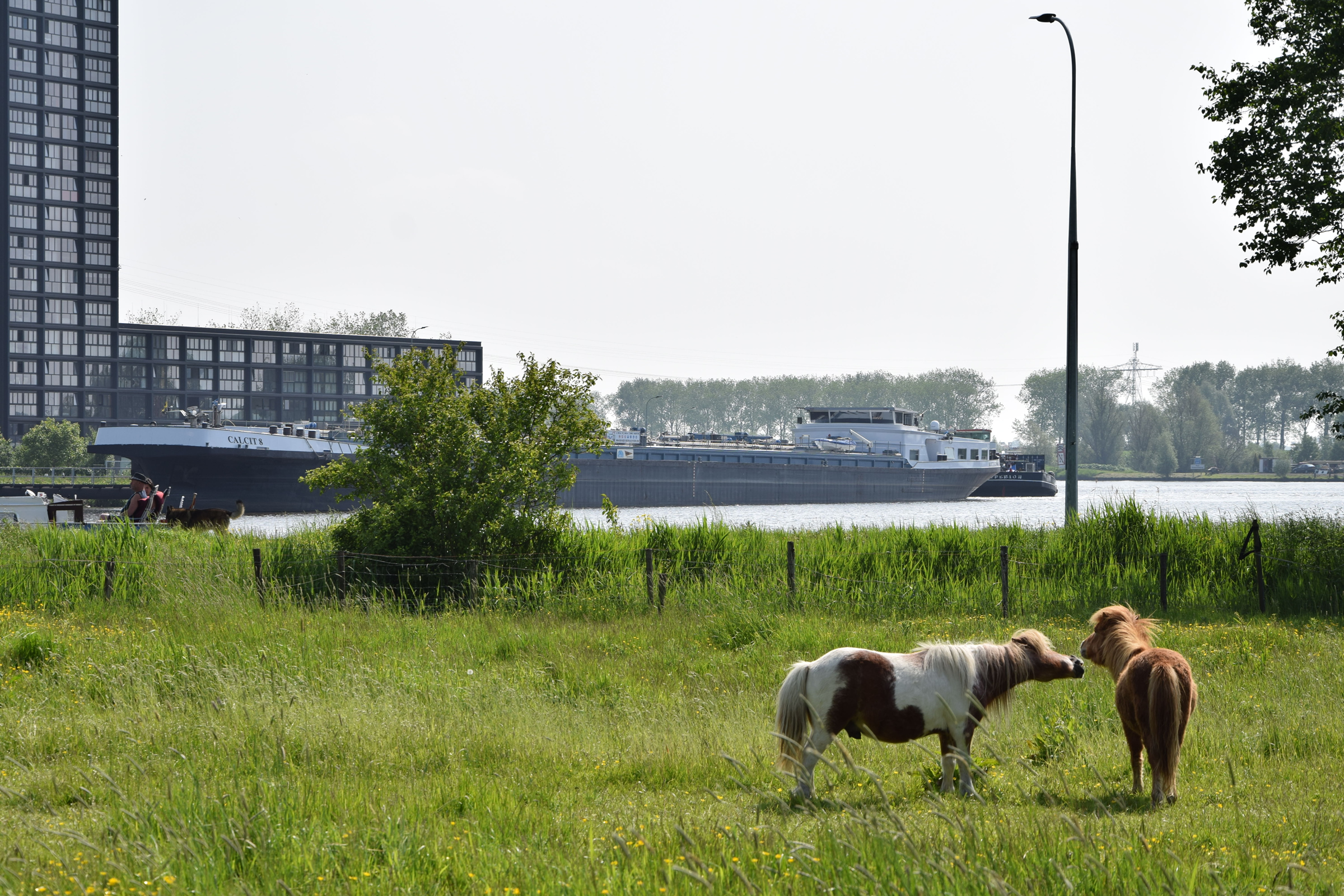 oosterpark_frans_geubel (116)