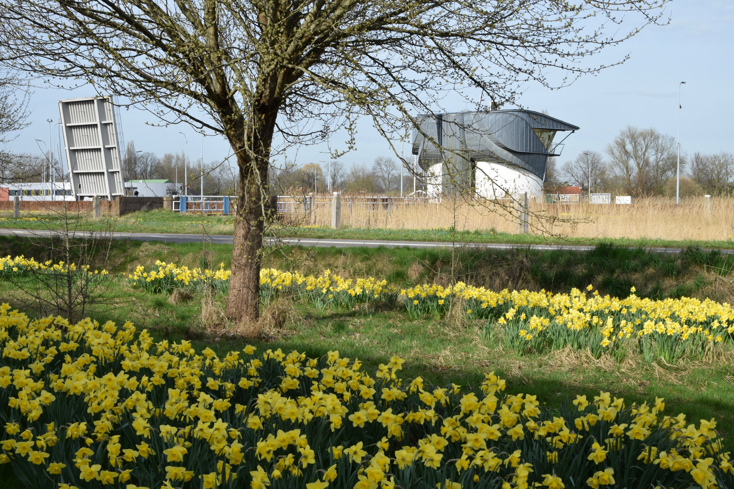 oosterpark_frans_geubel (2)