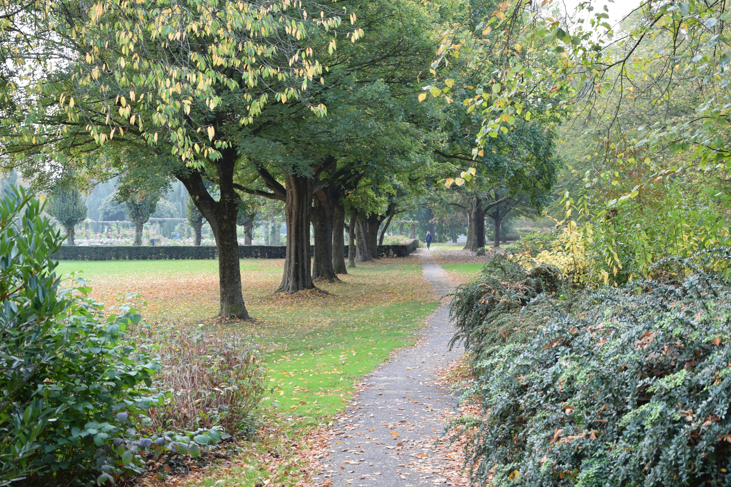 oosterpark_frans_geubel (5)
