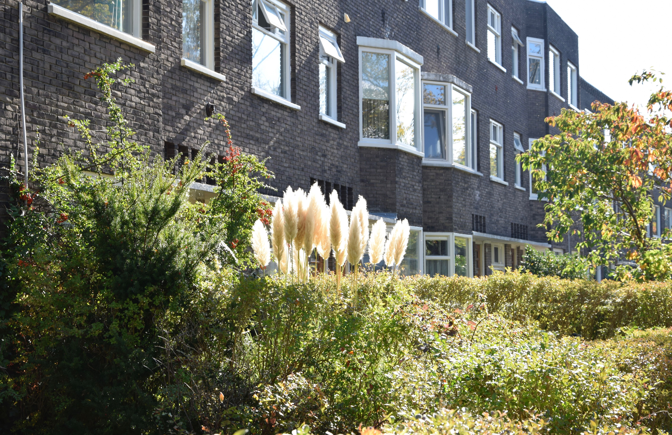 oosterpark_frans_geubel (125)