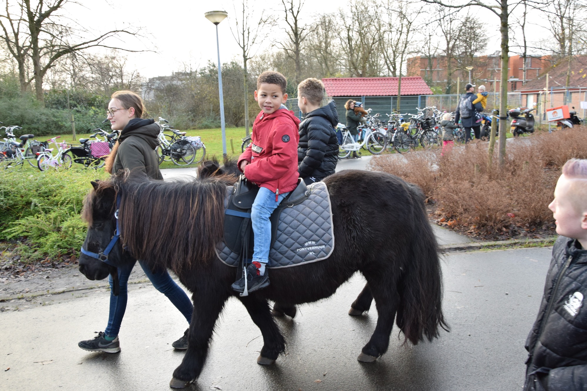 fransgeubel_2019_december (8)