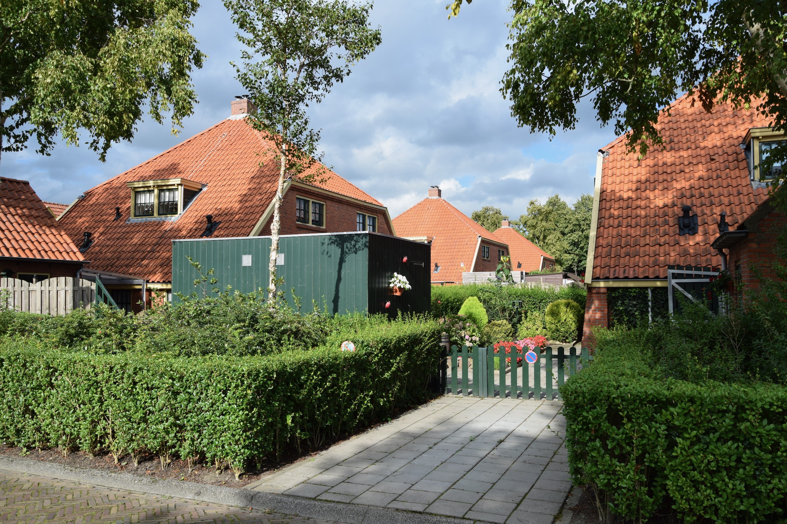 frans_geubel_sept2020 (9)