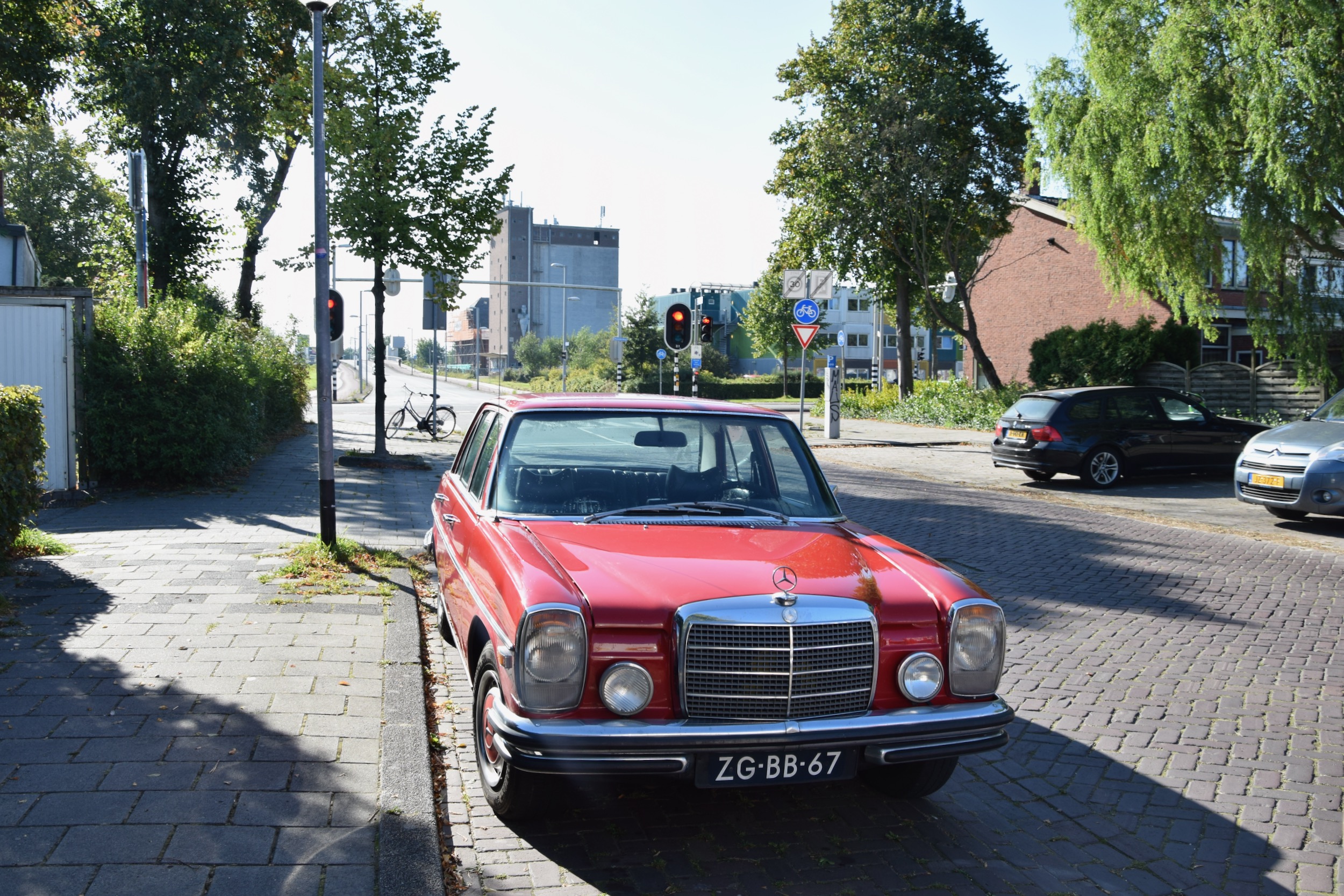 frans_geubel_sept2020 (6)