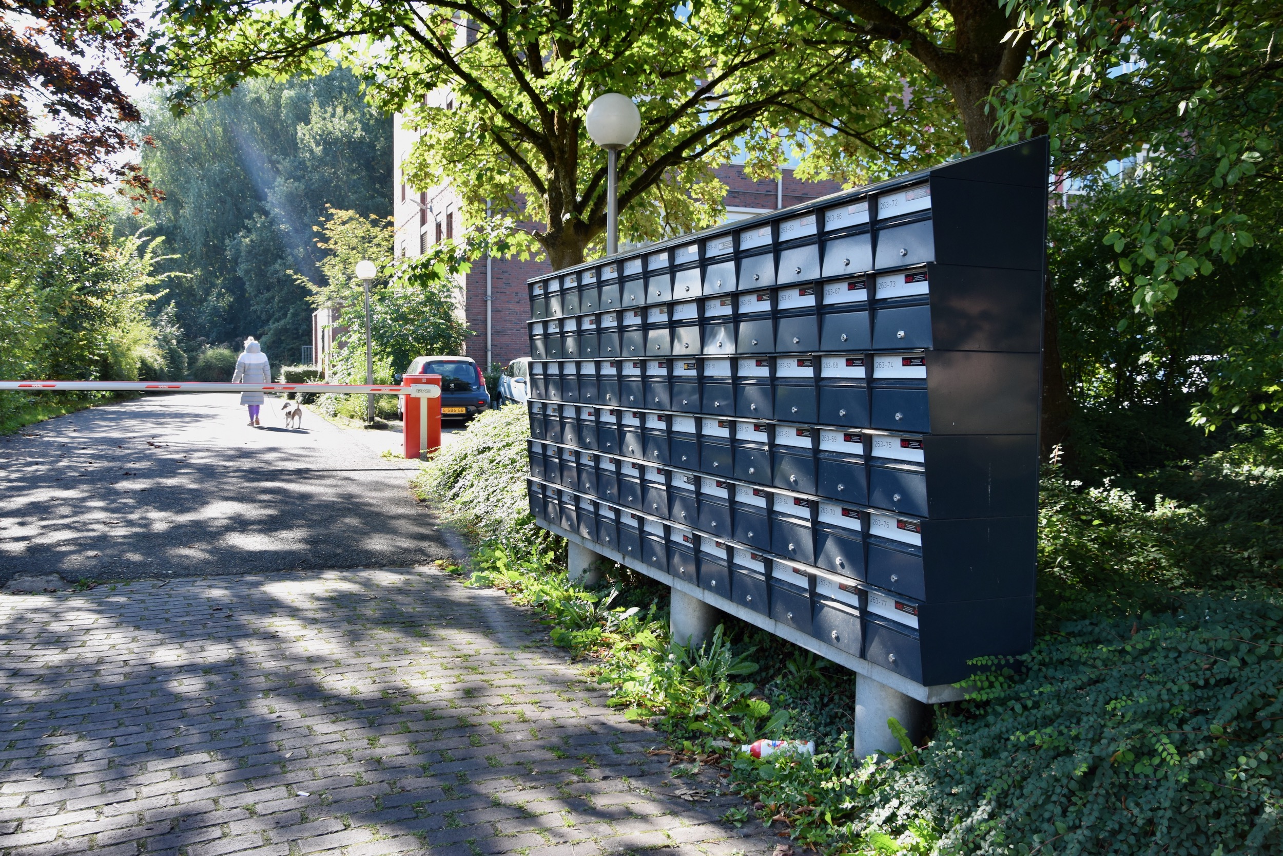 frans_geubel_sept2020 (8)