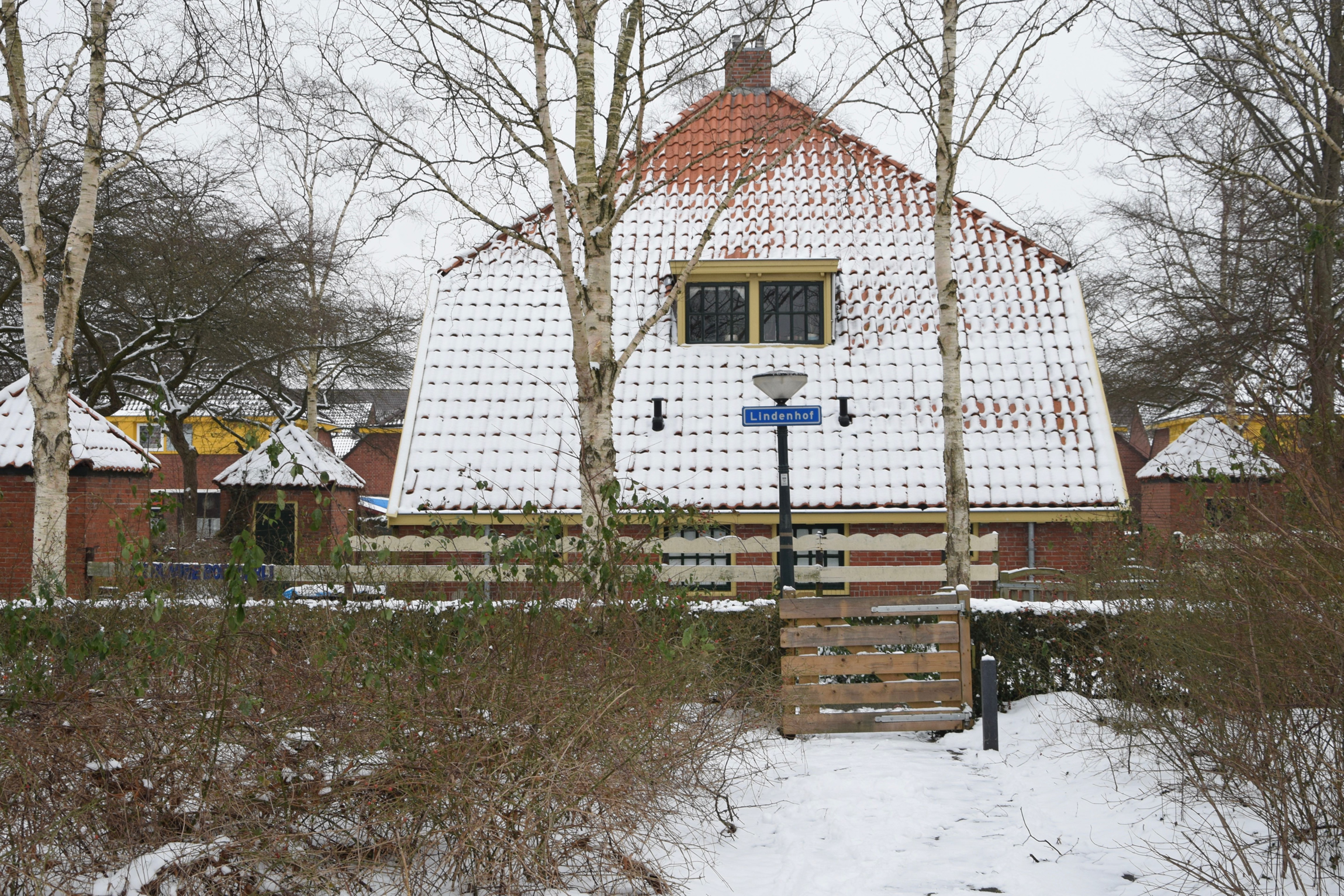 frans_geubel_2019_jan_febr (15)