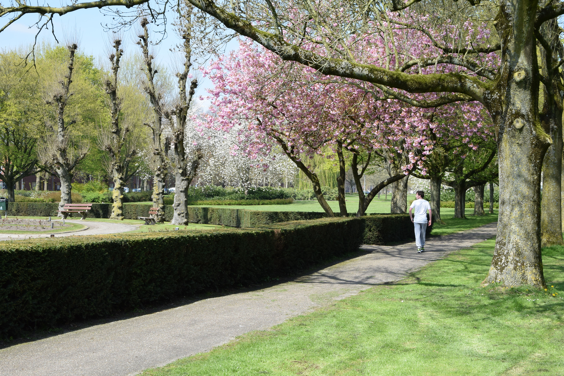 oosterpark_frans_geubel (100)