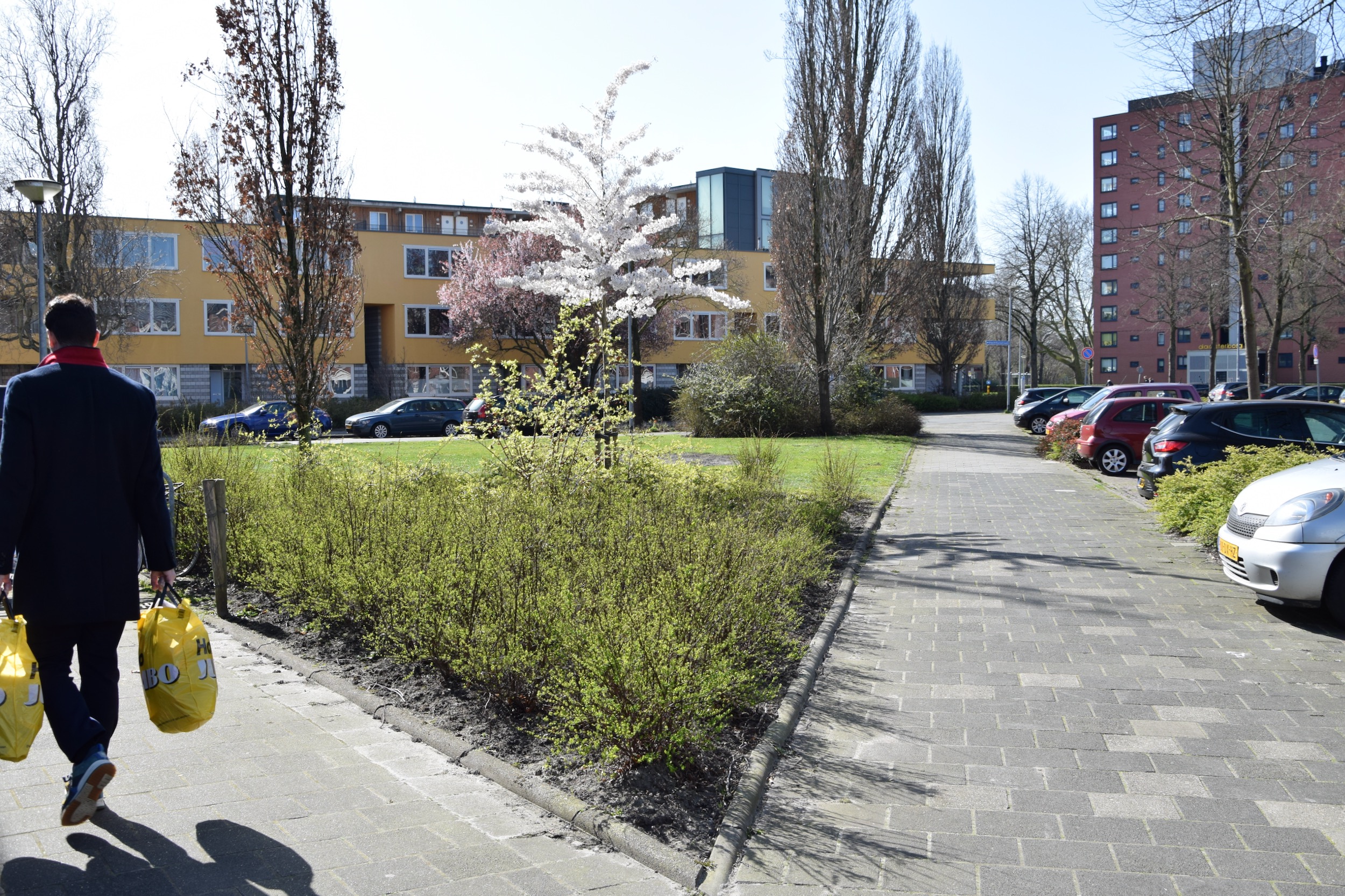 frans_geubel_mei2020 (8)