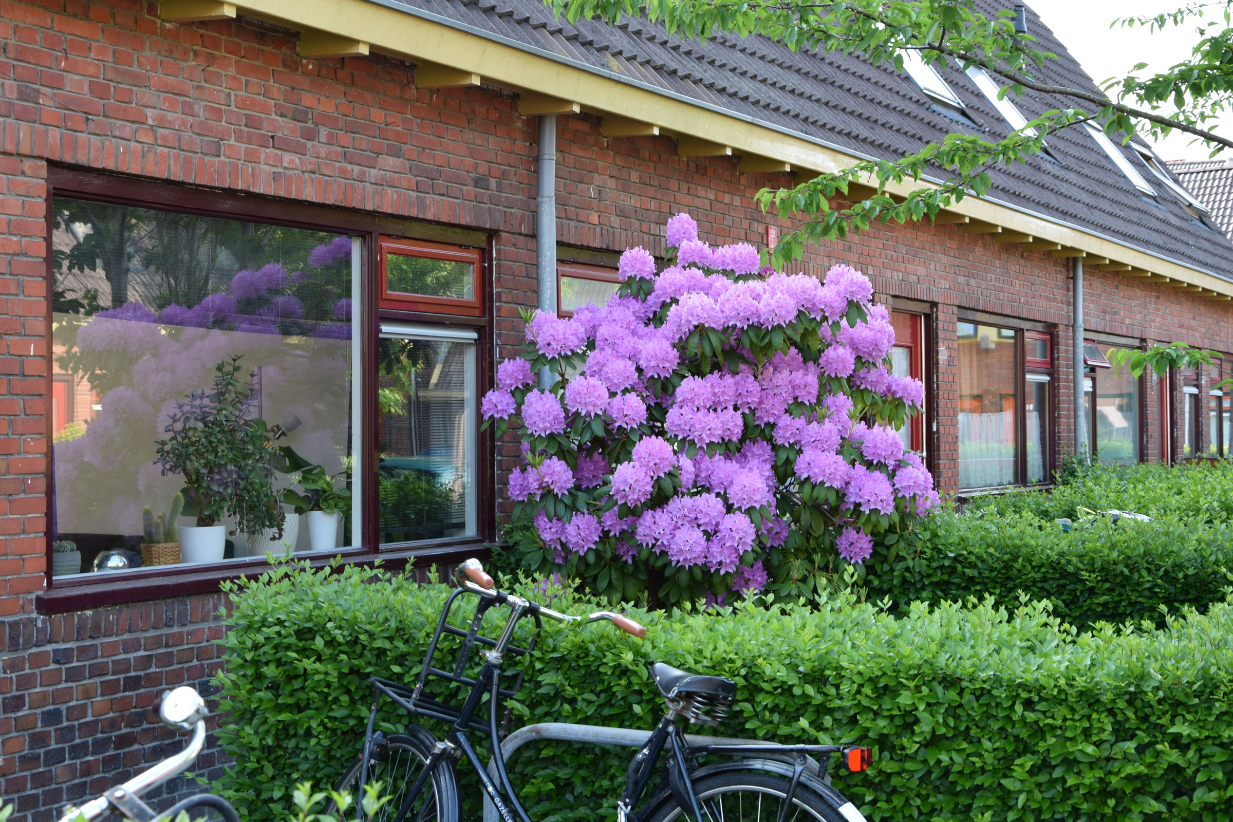 oosterpark_frans_geubel (84)