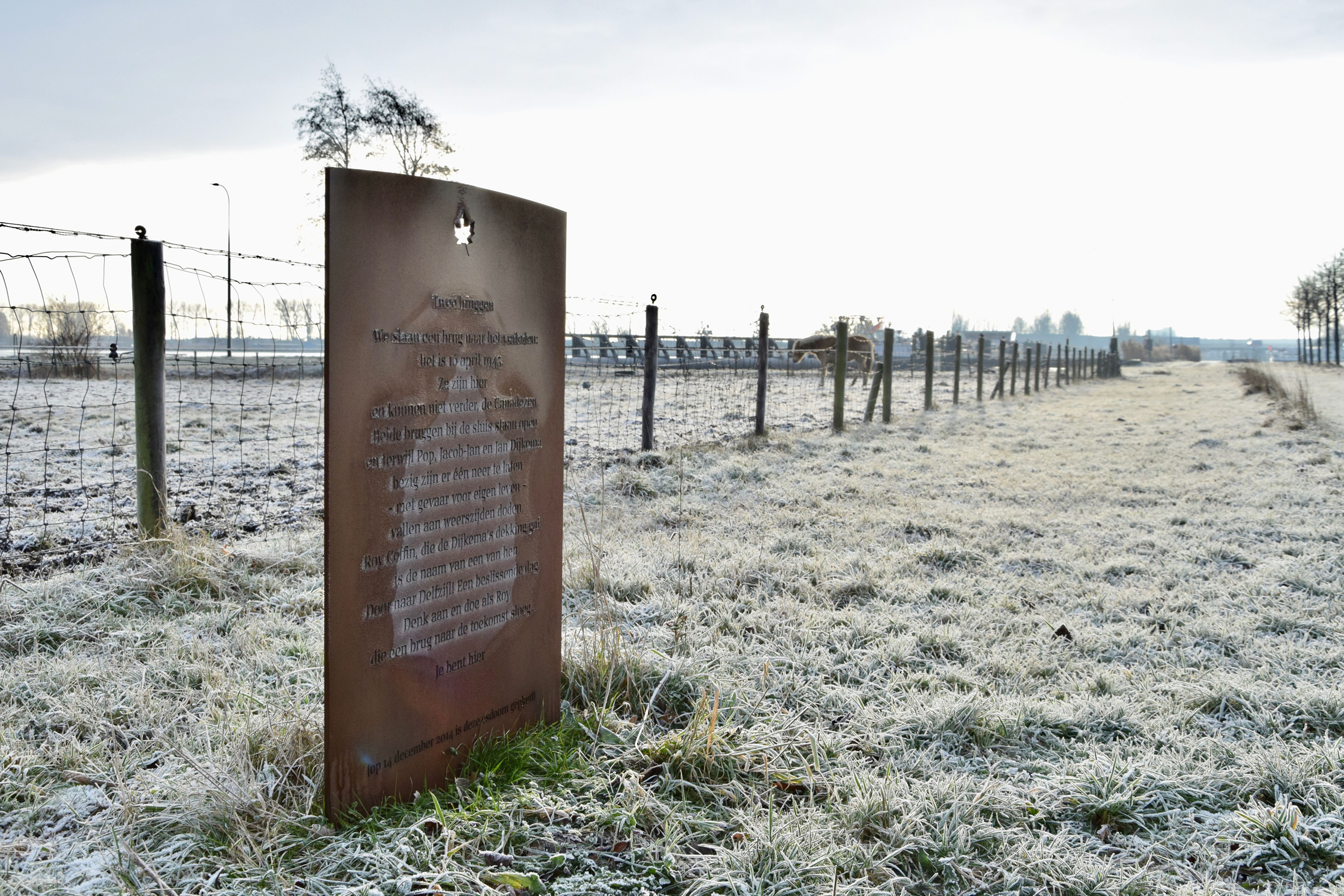 frans_geubel_2019_jan_febr (4)