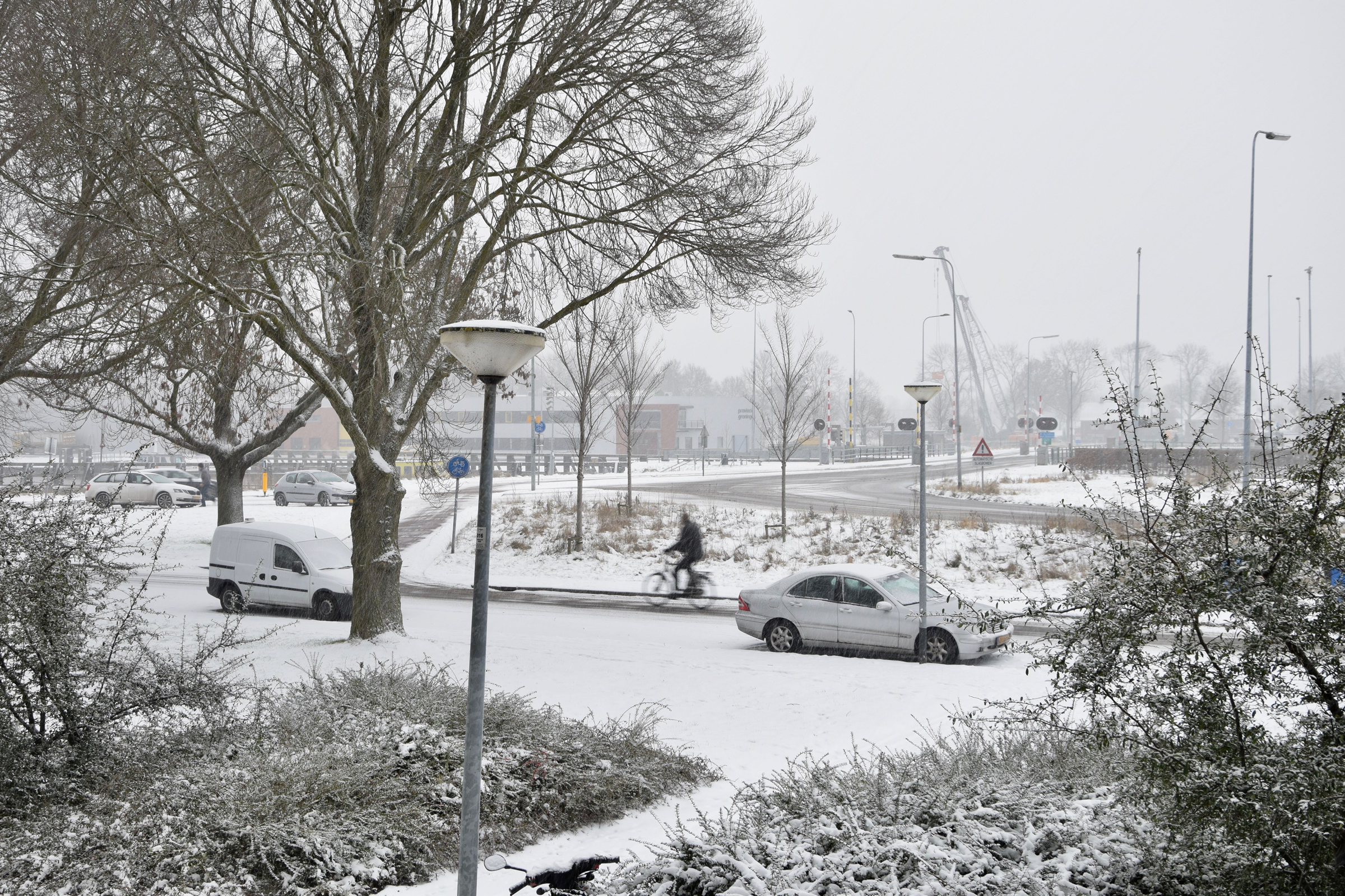 frans_geubel_2019_jan_febr (22)