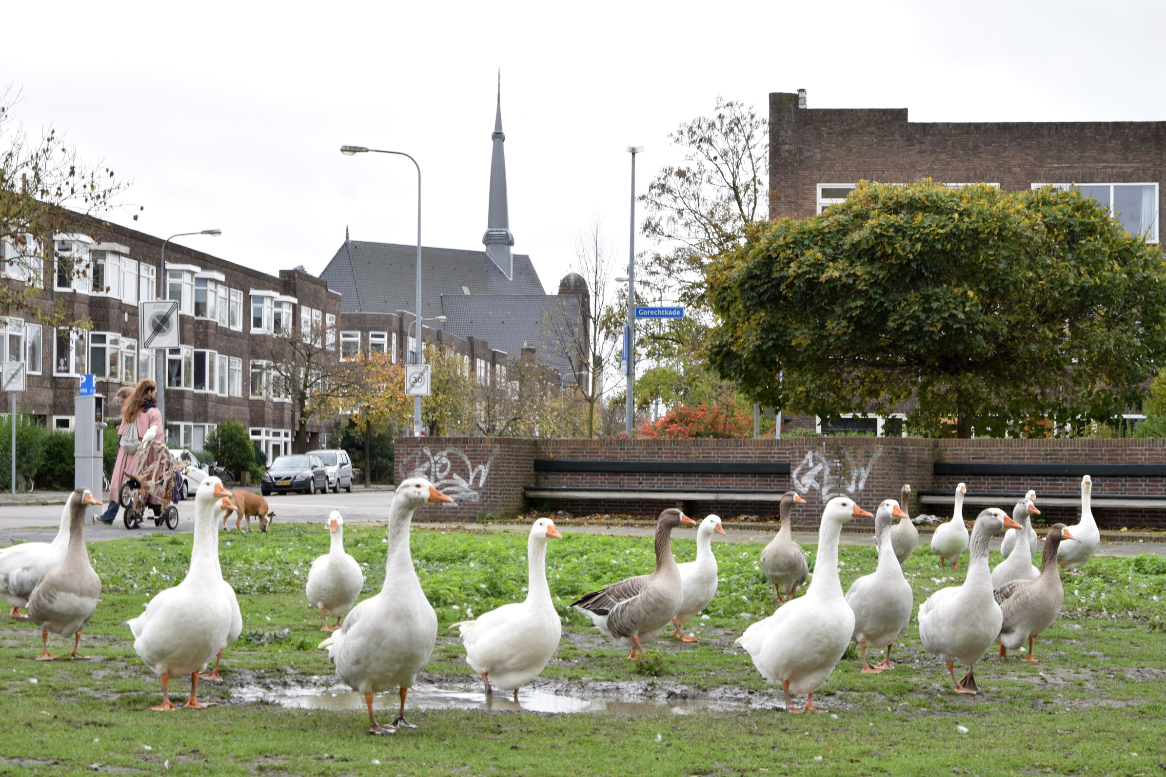oosterpark_frans_geubel (104)