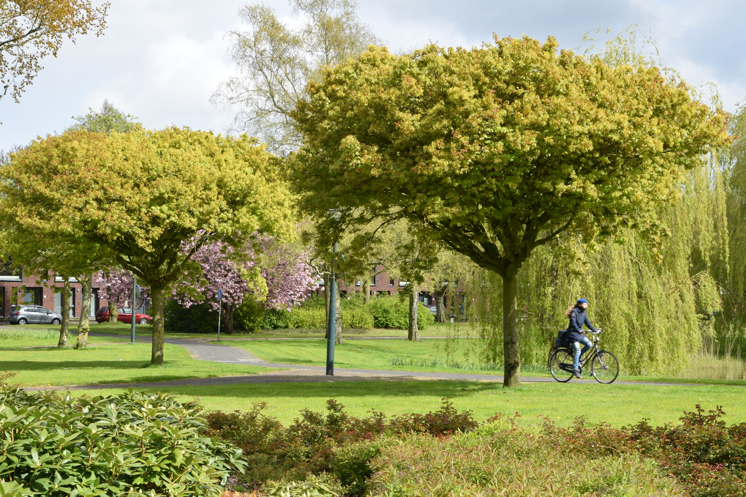 oosterpark_frans_geubel (144)