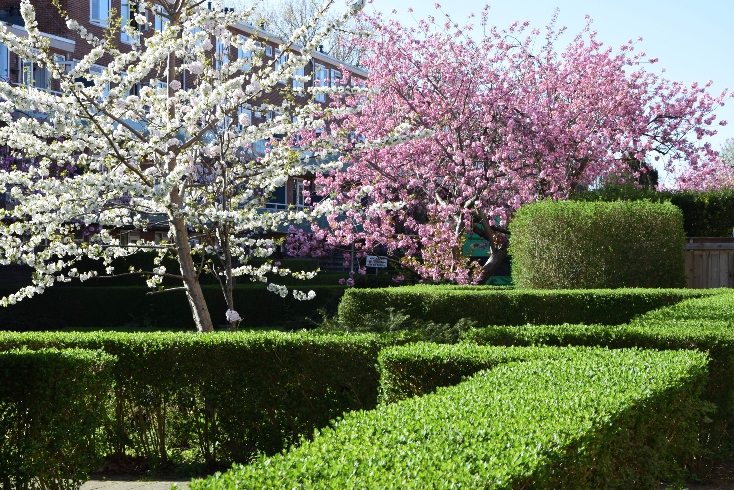 oosterpark_frans_geubel (142)