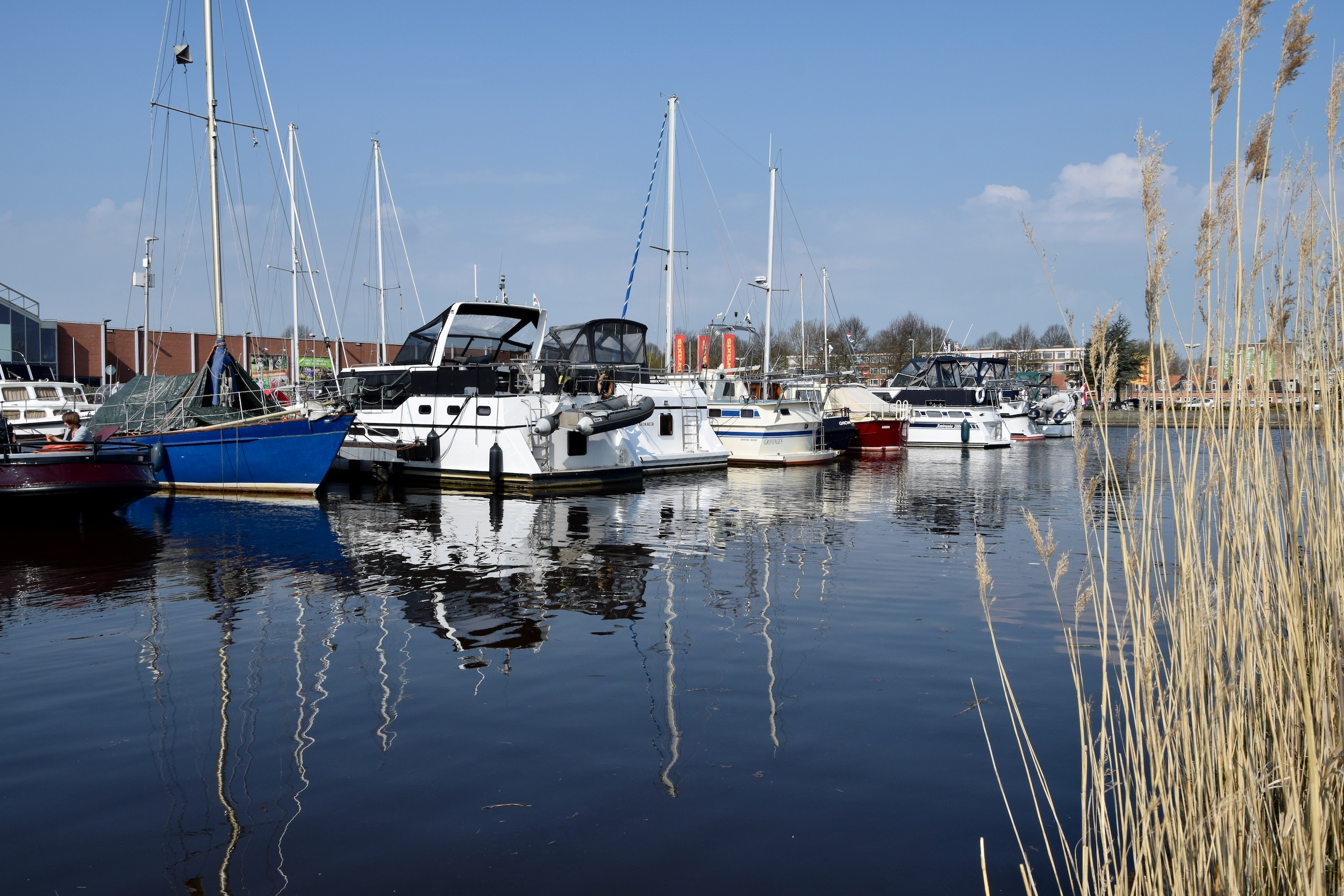 frans_geubel_mei2020 (9)