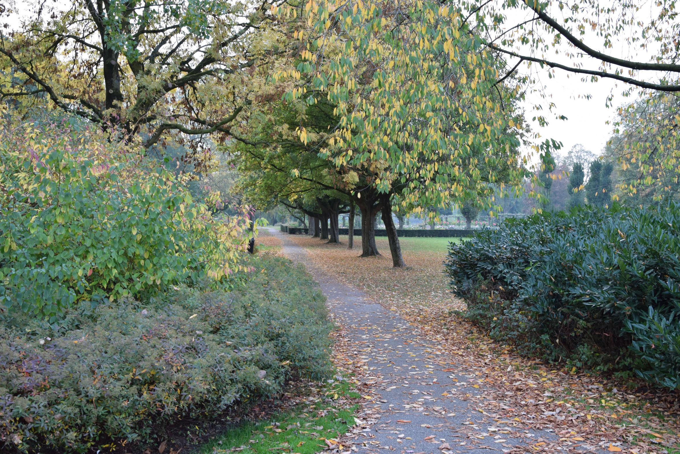 oosterpark_frans_geubel (11)