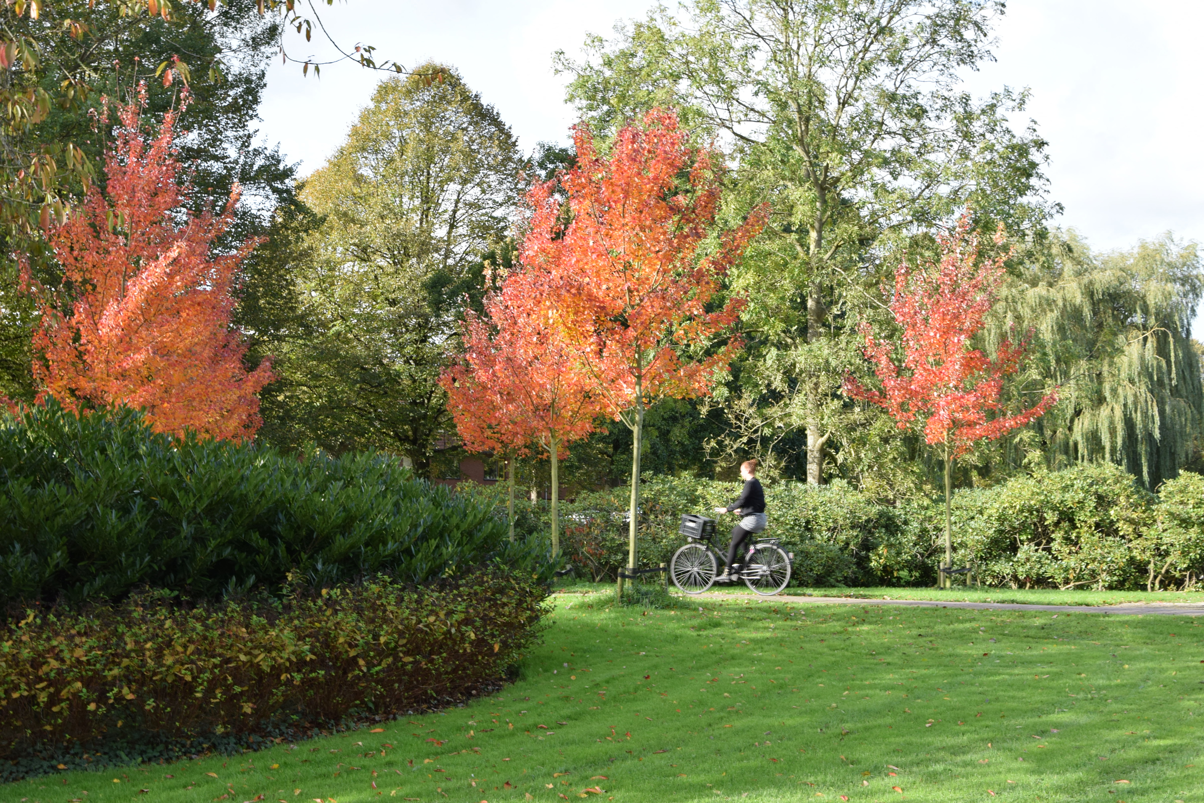 oosterpark_frans_geubel (23)