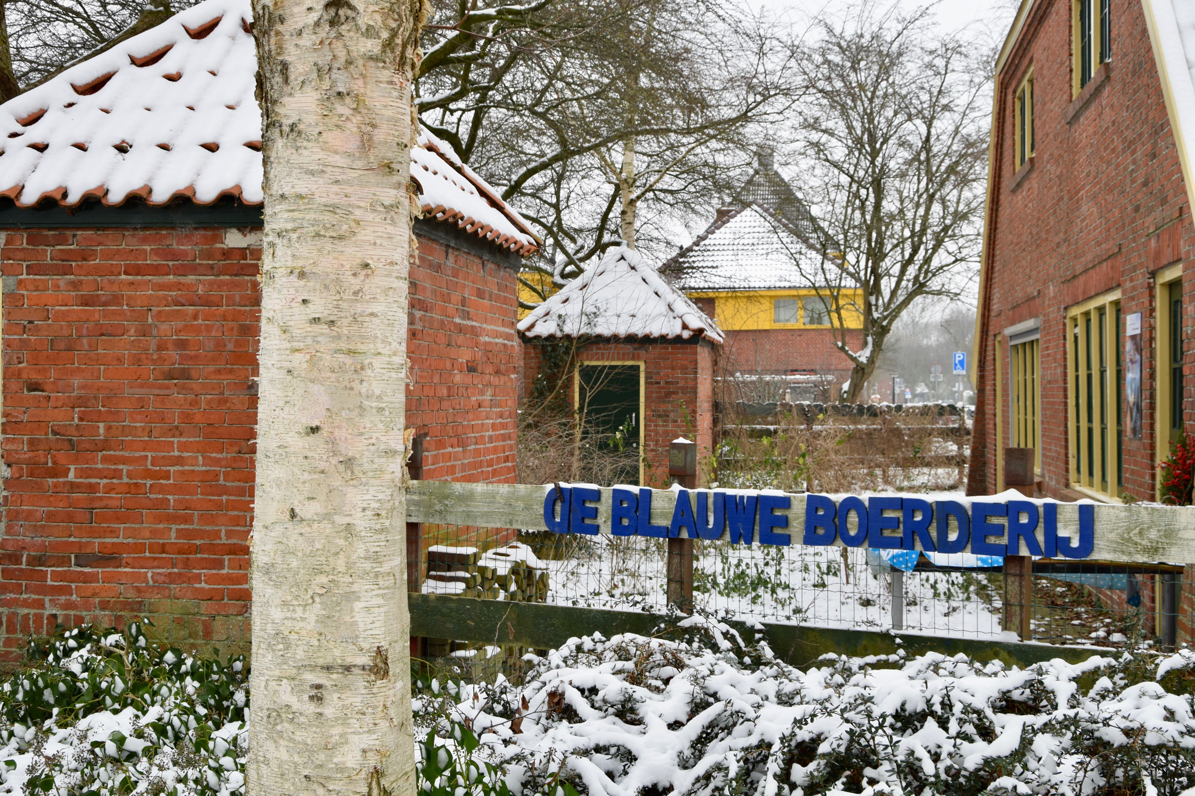 frans_geubel_2019_jan_febr (11)