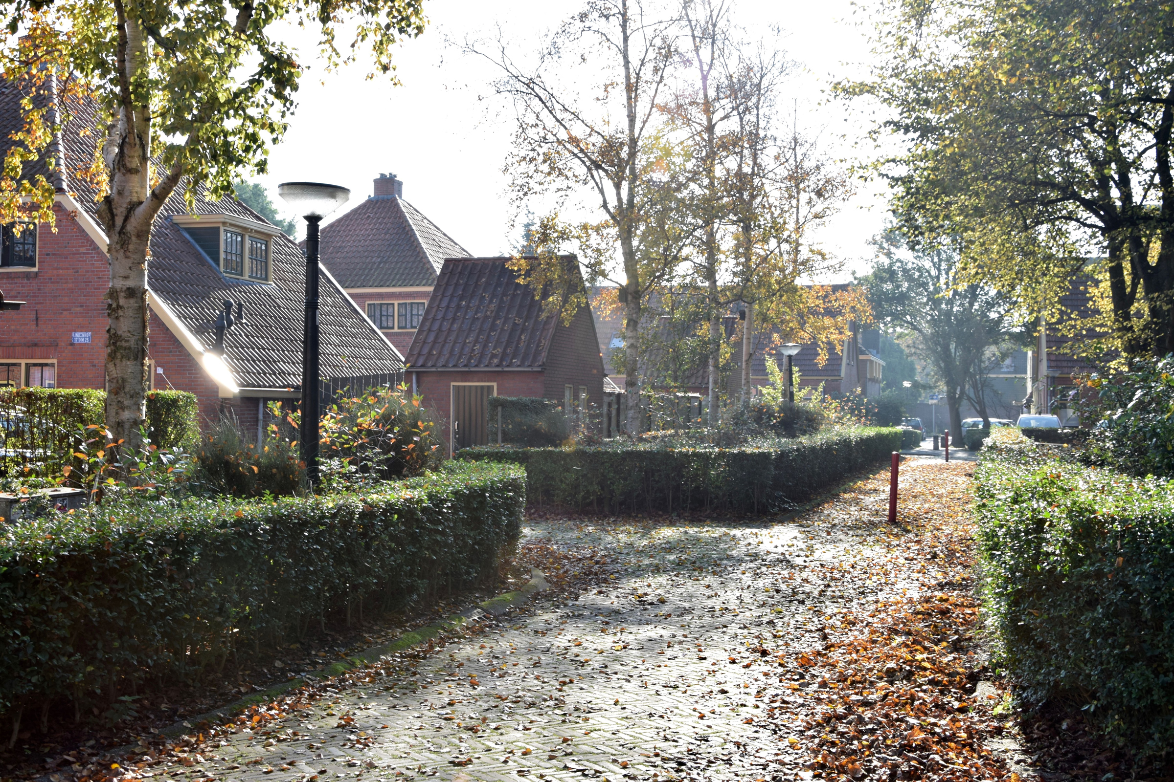 oosterpark_frans_geubel (93)