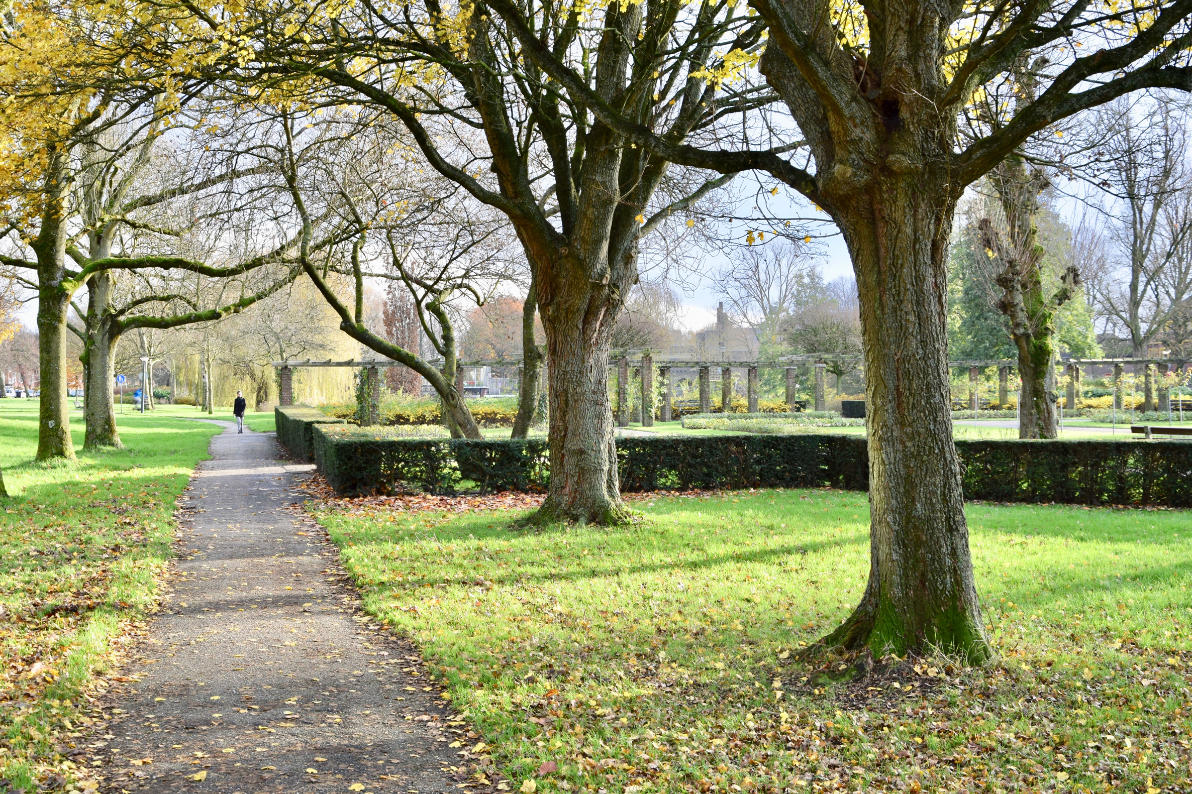 oosterpark_frans_geubel (126)