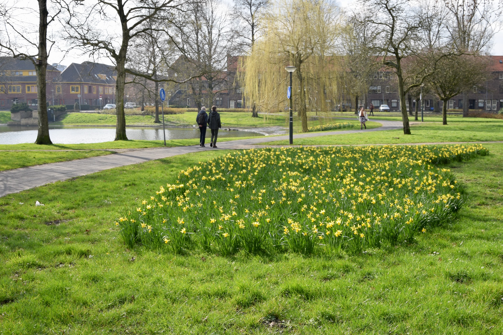 frans_geubel_mrt2020 (2)