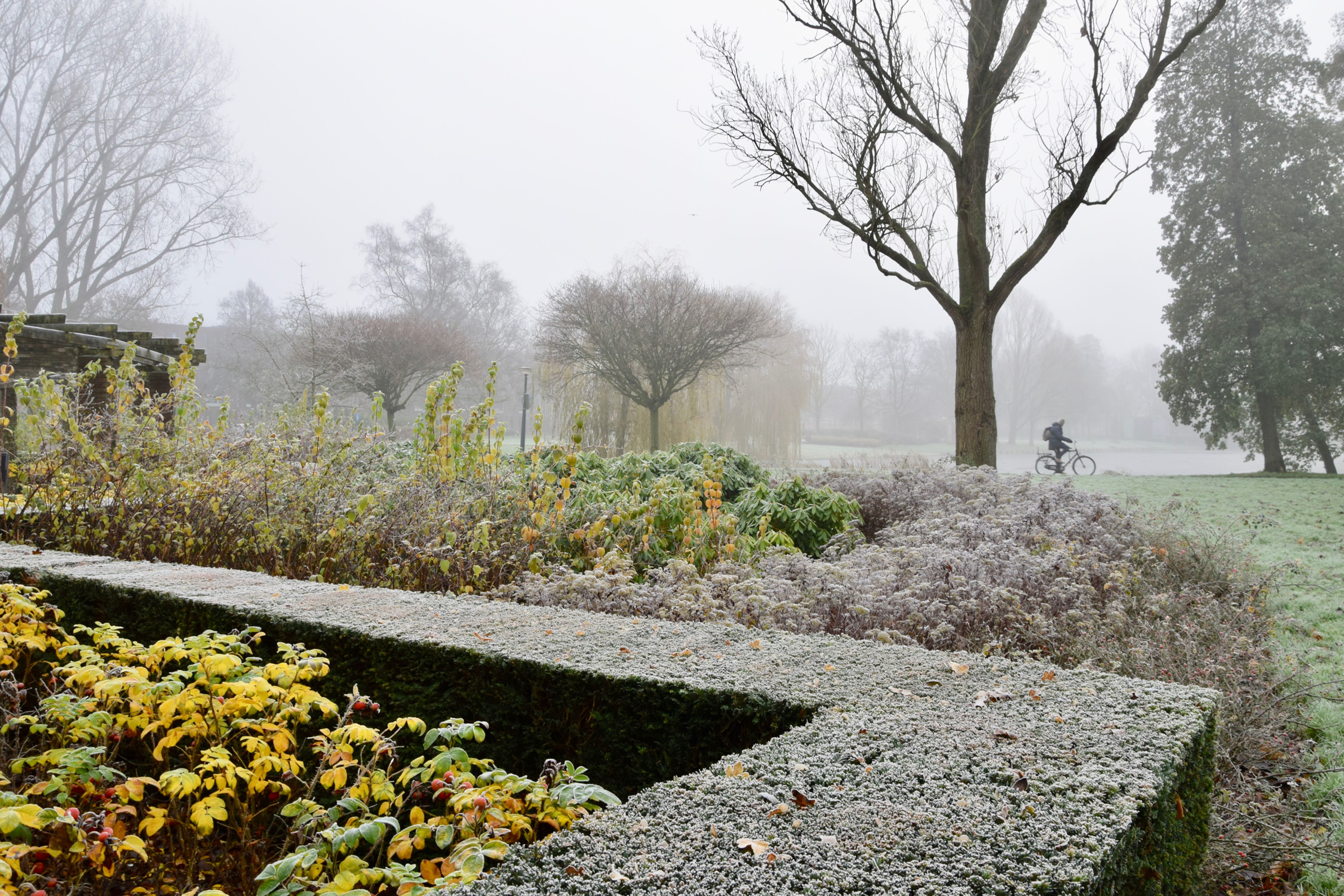 oosterpark_frans_geubel (140)