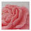 Miniaturbild: Kerze Peony Pfingstrose
