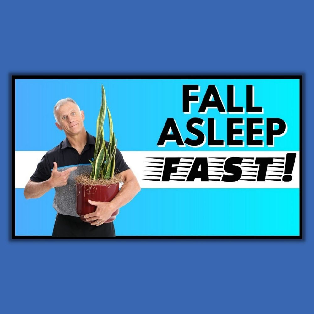 Sleep Hygiene How To Train Your Mind To Fall Asleep Fast All Night Sleep Hygiene How To Train Your Mind To Fall Asleep Fast All Night