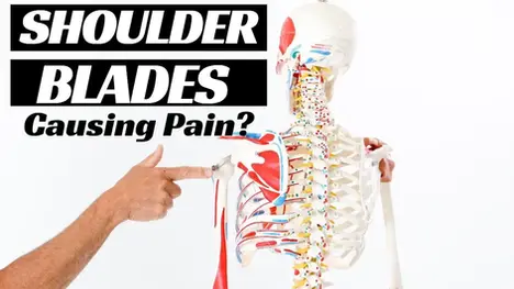 Why Your Shoulder Blades Are Causing Your Shoulder Pain?