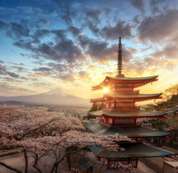 AdobeStock_1800876799