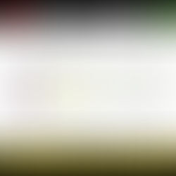 Directionally Specific Exercises For Low Back Pain