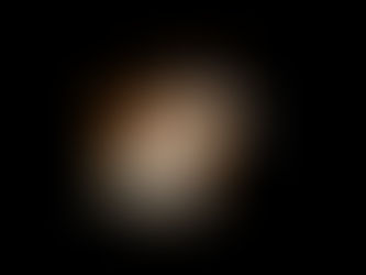 Meeresschnecken: Die farbenfrohen Juwelen der MeereBiologie