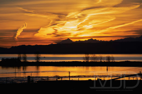 1-9-22_everett water_edit_watermark-3.JPG