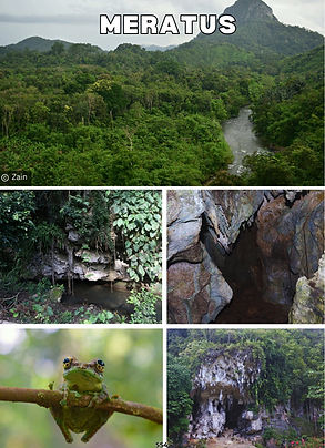 Screenshot (54) copy.jpg