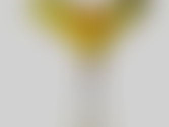 "Mothing", oder die Beobachtung von Motten