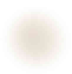 Amanda Alcamo-golf gifts for the home-plate