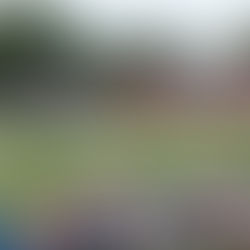 A Week to Remember: My 2025 Ryder Cup