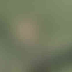 Amanda Alcamo-January Favorites