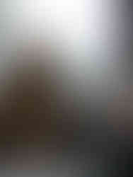 Amanda Alcamo-December Favorites