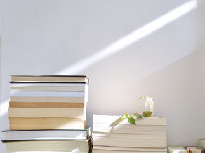 A Memoir, a Fable, and a Guide Walk Into a Bar