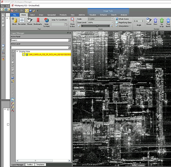 Sensor Independent Complex Data (SICD).png