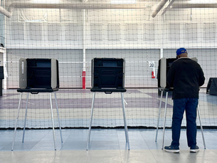 Virginia Voter