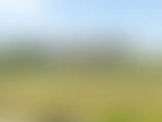 Budweiser brewery in Fairfield, CA closing