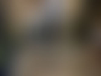 Wedding Day in Suvereto, Italy