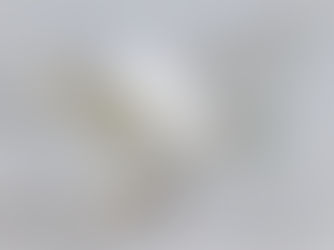 Trump Announces Board of Peace