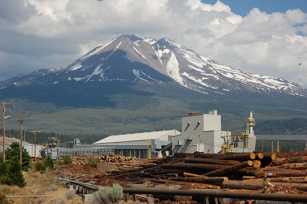 Roseburg Plant in Weed California shuts down