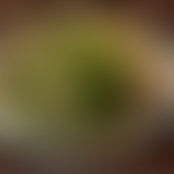 Chicken with Mixed Vegetables