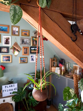 Plant Hangers