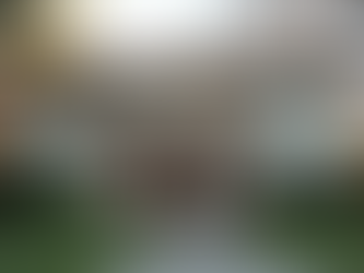 Yellow House Buyers Overview: Dover Spotlight