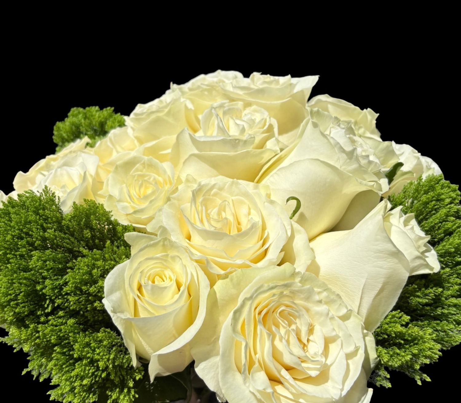 BOUQUET of 24 ROSES $230