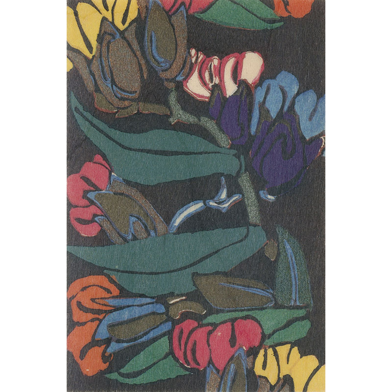 bnf noir et couleurs